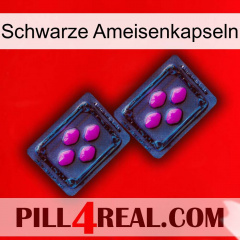 Black Ant Capsules 03